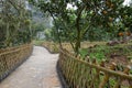 A bamboo fence path