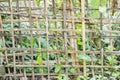 Bamboo fence.