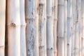 Bamboo fence with shallow depth of field Royalty Free Stock Photo