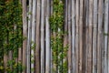 Bamboo fence texture for background Royalty Free Stock Photo