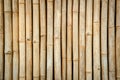 Bamboo fence texture background. Bamboo wall background. Dry bamboo texture exactly vertically straight wall floor light. Eco natu Royalty Free Stock Photo