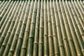 Bamboo fence or wall for background, bamboo row texture and pattern Royalty Free Stock Photo