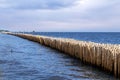 Bamboo fence wall is breakwater for protecting the shore and mangrove forest from wave erosion and storm in sea. Tranquil idyllic