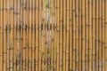 bamboo fence wall texture pattern for background Royalty Free Stock Photo