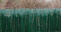 Bamboo fencing