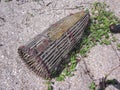 Bamboo fish trap.