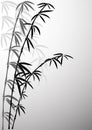 Bamboo in foggy a smoke Royalty Free Stock Photo
