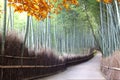 Bamboo forest of Arashiyama near Kyoto at the fall season, Japan Royalty Free Stock Photo