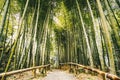 Bamboo forest Arashiyama near Kyoto, Japan Royalty Free Stock Photo