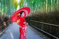 Bamboo Forest. Asian woman wearing japanese traditional kimono at Bamboo Forest in Kyoto, Japan Royalty Free Stock Photo