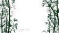 Bamboo forest background. Asian plants silhouettes backdrop. Chinese, japanese tropical rainforest vector banner