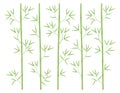 Bamboo forest background. Bamboos or bambusa plant backdrop. Bambos green leaves and stalk. Decorative flat vector color