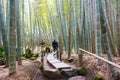 Bamboo forest at Hokokuji Temple in Kamakura, Kanagawa, Japan. The temple was originally built in Royalty Free Stock Photo