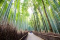 The bamboo forest of Kyoto, Japan Royalty Free Stock Photo