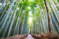 The bamboo forest of Kyoto, Japan Royalty Free Stock Photo