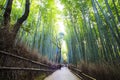 The bamboo forest of Kyoto, Japan Royalty Free Stock Photo