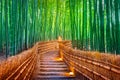 Bamboo Forest in Kyoto, Japan Royalty Free Stock Photo