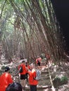 Bamboo forest and love waterfall in Bogor Indonesia