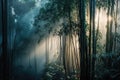 bamboo forest with misty morning light, making the trees and plants appear even more enchanting