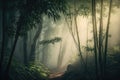 bamboo forest with misty morning light, making the trees and plants appear even more enchanting