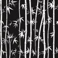 Bamboo Forest Monochrome Illustration Royalty Free Stock Photo