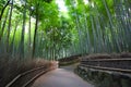 Bamboo forest near Kyoto, Japan Royalty Free Stock Photo