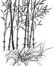 Chinese art: sumi bamboo Royalty Free Stock Photo