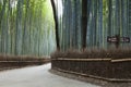 Bamboo Forest Sagano Kyoto Japan Royalty Free Stock Photo