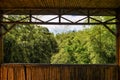 Bamboo forest scene Royalty Free Stock Photo