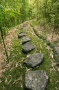 Bamboo Forest Trail Royalty Free Stock Photo