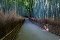 Bamboo forest trail at Arashiyama. Royalty Free Stock Photo