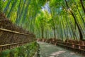 Bamboo forest and walking path in Arashiyama, Kyoto, Japan Royalty Free Stock Photo