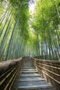 Bamboo Forest Walkway. Royalty Free Stock Photo