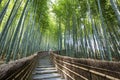 Bamboo Forest Walkway. Royalty Free Stock Photo