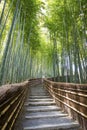 Bamboo Forest Walkway. Royalty Free Stock Photo