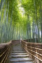 Bamboo Forest Walkway. Royalty Free Stock Photo
