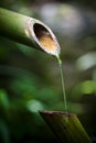 Bamboo Fountain Royalty Free Stock Photo