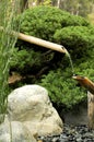 Bamboo fountain