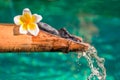 Bamboo fountain close up Royalty Free Stock Photo