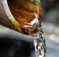 Bamboo fountain-detail Royalty Free Stock Photo