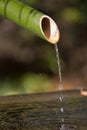 Bamboo fountain in japanese temple