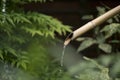 Bamboo water fountain in nature background Royalty Free Stock Photo