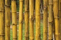 Bamboo garden fence Royalty Free Stock Photo