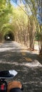 Bamboo gate enterance