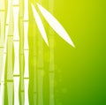 Bamboo Green Background Royalty Free Stock Photo