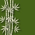 Bamboo green background