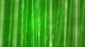 Bamboo green dreamy colorful background