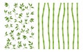 Bamboo green stem leaf borders set exotic fresh natural asian traditional tree leaves plant sticks