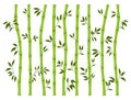 Bamboo green stem leaf borders set exotic fresh natural asian traditional tree leaves plant sticks