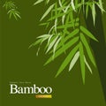 Bamboo green vector illustration